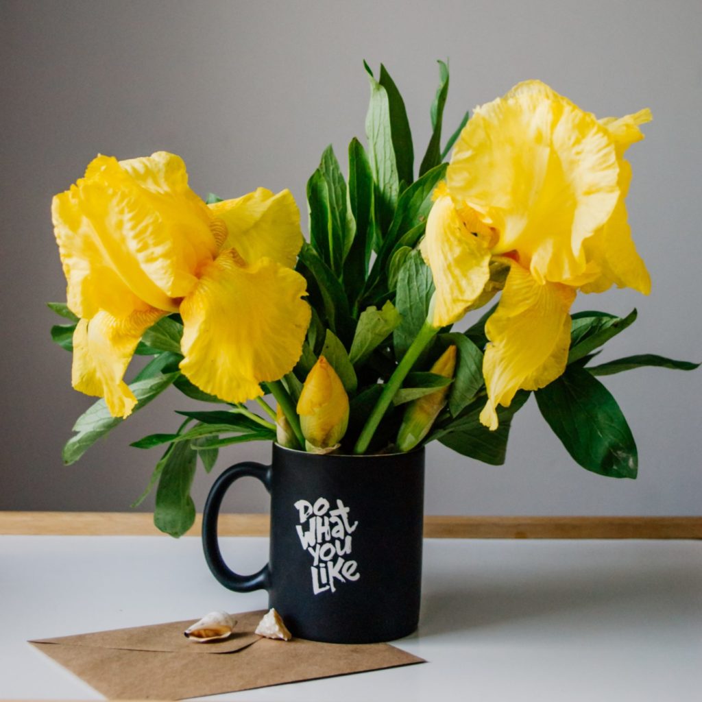 家にあるもので花を生ける 花瓶の代用になるアイテム6選 ハナサガシ 貴方のための花が見つかるwebメディア